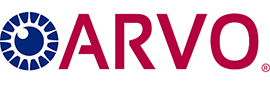 logo-vision-2